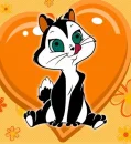 Pussyfoot cat