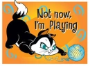 Pussyfoot cat