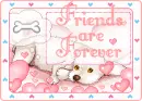 friends are forever