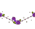 purple roses
