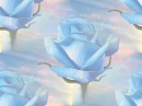 Blue Rose