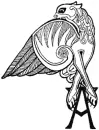 Griffin