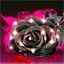 emo rose