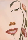 FLOWER FACE