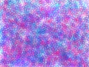Colors