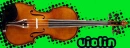 violin