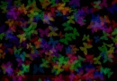 Colorful Butterflies