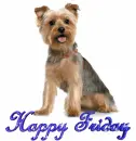 HAPPY FRIDAY
