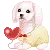 cute puppy