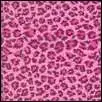 Pink Leopard Background x