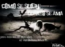 te amo