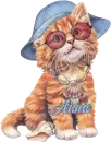 seashell_catAnnie