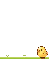little chick