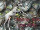 Unicorn Thanx for the Add