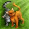Firestar and Graystripe