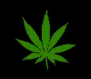 Pot Leaf