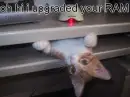 oh hi i upgraded ur RAM