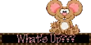 What's up???