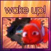 Wake up!