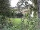 Green Forest