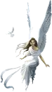 white angel