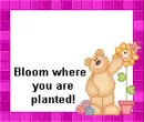 bloom where you are planted!