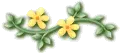 cute little flowers