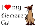 I love siamese
