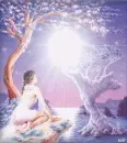 moon light