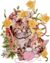 kittens
