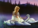 purple night