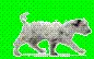 dogphoria dalmation
