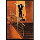 Sk8er Dude