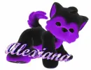 ALEXIANA
