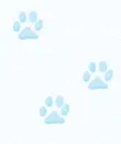 Blue Paws