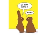 Funny bunnies