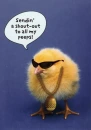 funny chick
