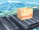 Airport Shipping