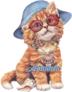 seashell_catAmanda