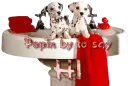 dogs in sink
