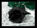 Black Roses