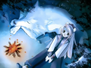 Ninja and wolf