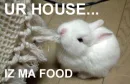 My Food