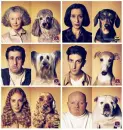 perros parecidos