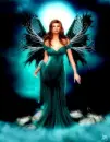 Fairy
