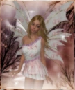 Fairy