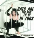 cats