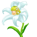 baby flower