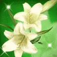 white flowers