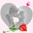 red rose